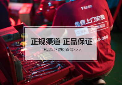 vsport电池