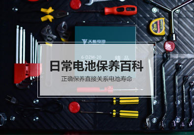 vsport电池