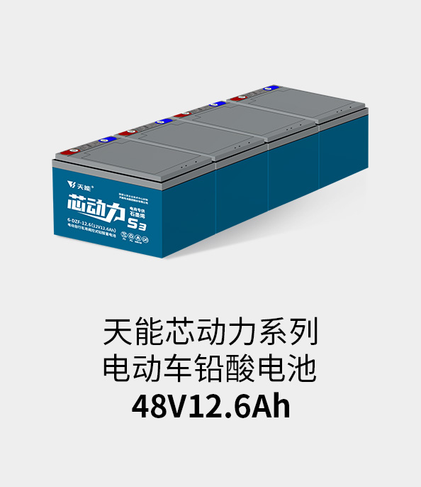 vsport电池48v12ah