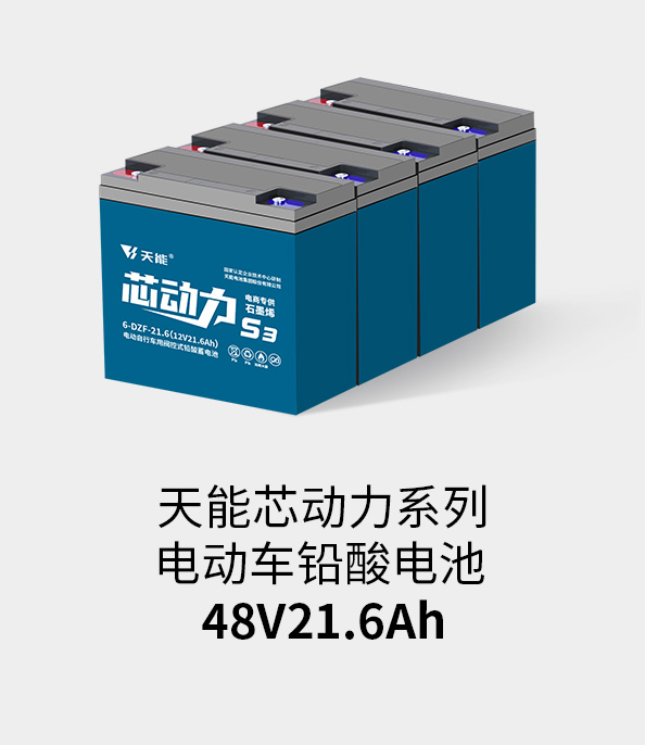 vsport电池48v20ah