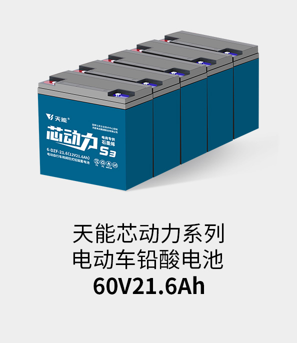 vsport电池60v20ah