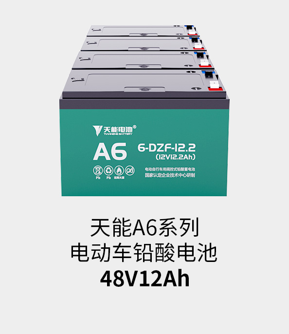 vsport电池48v12ah