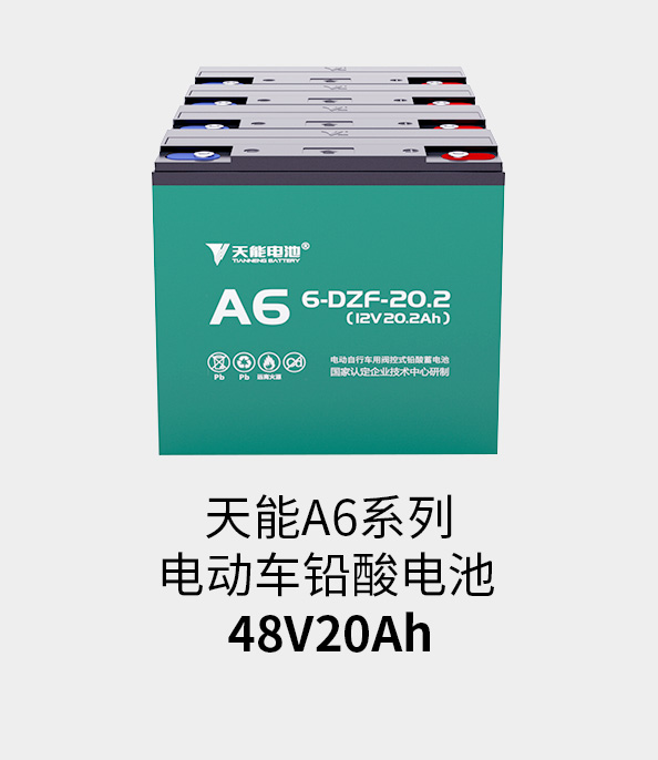 vsport电池48v20ah