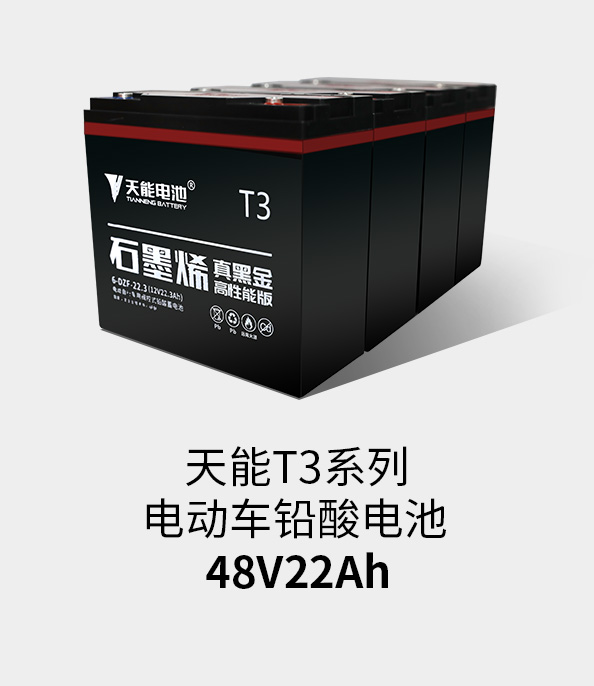 vsportT3系列48v22ah