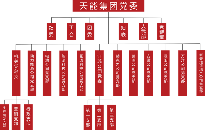 vsport建团党委组织架构