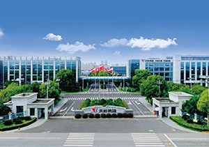 vsport股份介绍