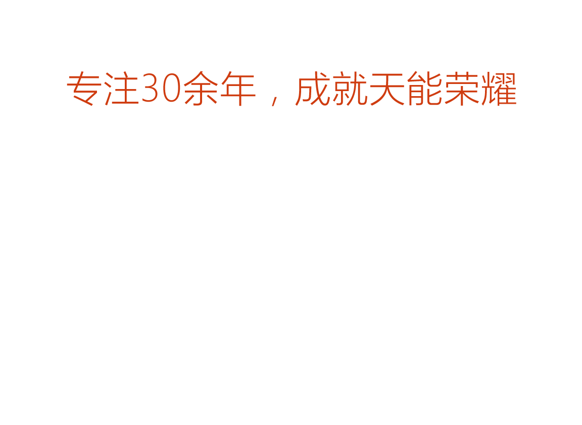 vsport荣誉